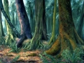 enchantment