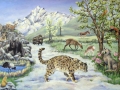 wildlife_on_the_tibetan_plateau